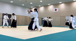 S__46415973_0_edited