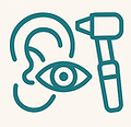 Visual ear inspection and otoscopy – professional ear health check using specialised tools, Maitland, NSW audiologist.