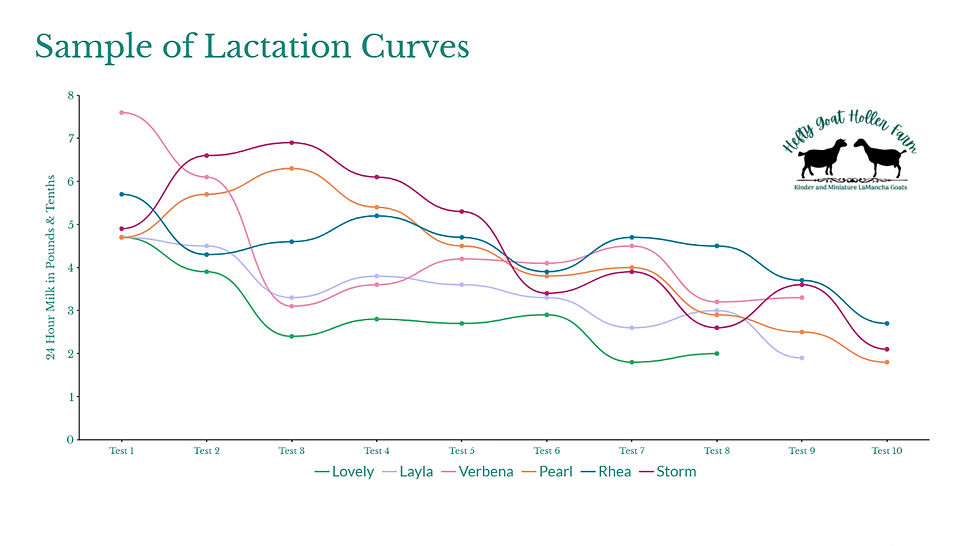 Graph of lactation curves in miniature lamancha dairy goats