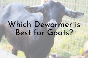 Which Dewormer is Best for Goats?
