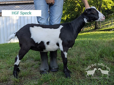 Speck May.jpg