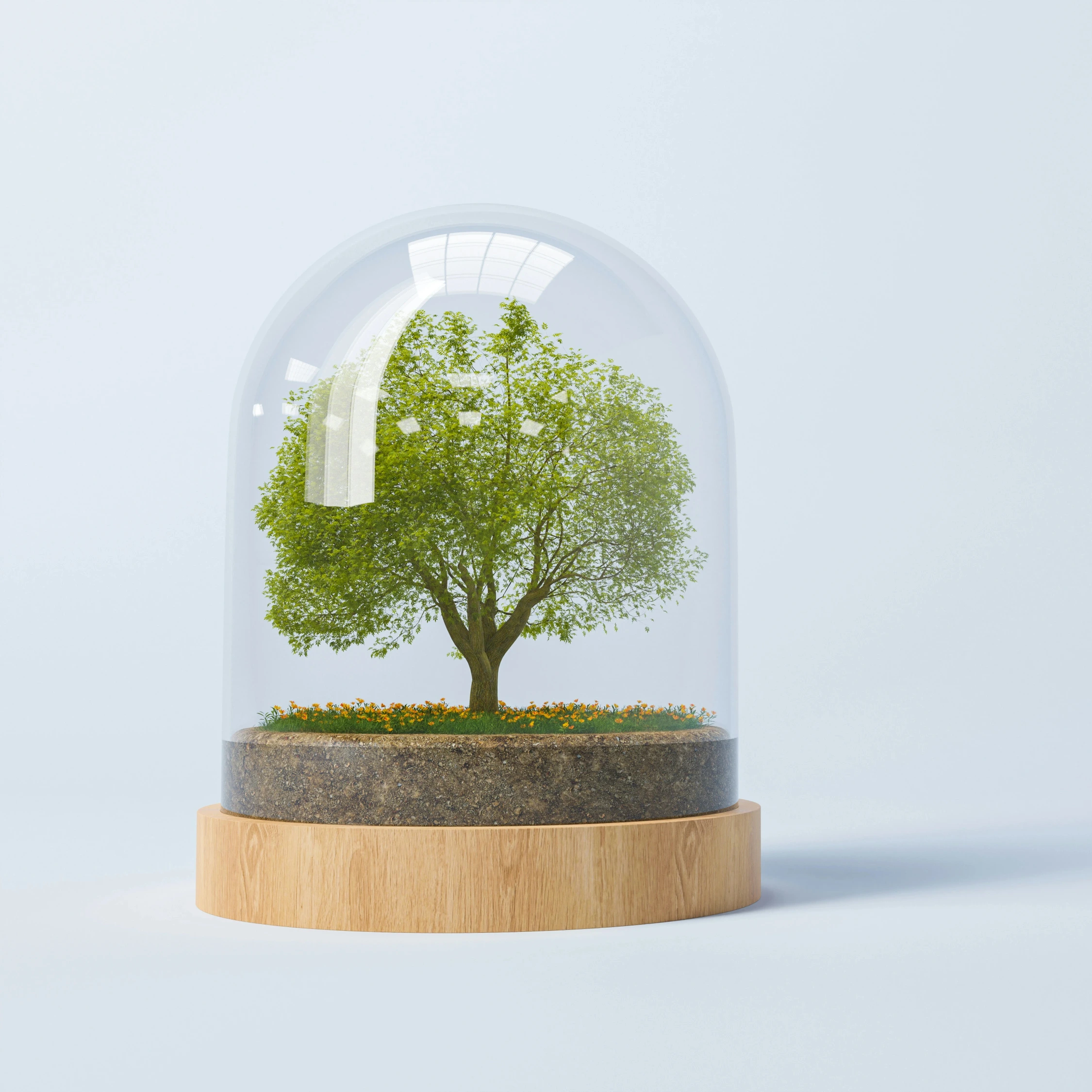 Integrated digital marketing ecosystem supporting the full customer journey, combining content, SEO, design, and performance for businesses in Canada and the United States.