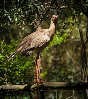 fotógrafo autoral Curitiba projeto artístico
