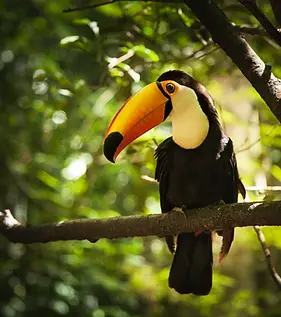 fotografia artística retrato autoral Curitiba