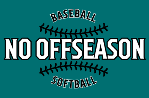 No Offseason Baseball