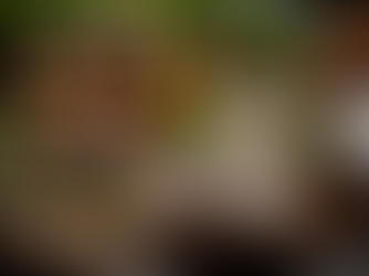 Bewusste Ernährung – Teil 2