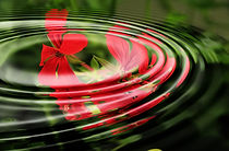 geranium_wave_water_rings_circle_waves_circles_wallpaper_background_image-964222.jpeg