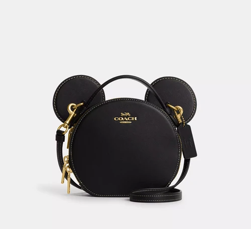 Bolsa coach disney hotsell