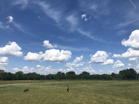 Create a Lower Demand Lifestyle