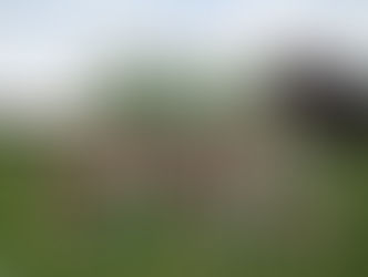 Kreisturnfest Dintikon 2018