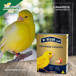 14585490_152384925218794_504010105_n