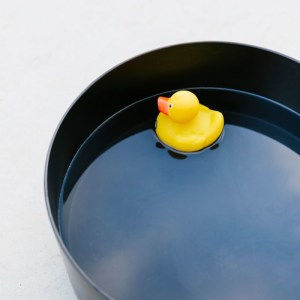 Miniature : cercle sans fin
