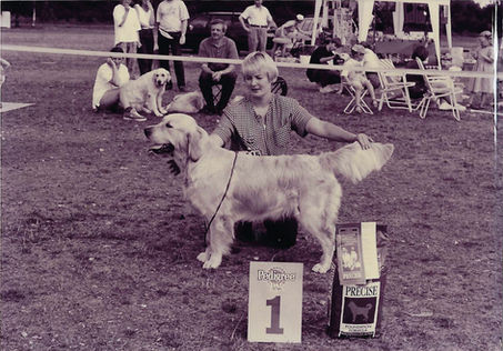 Hondenfoto's15.jpeg