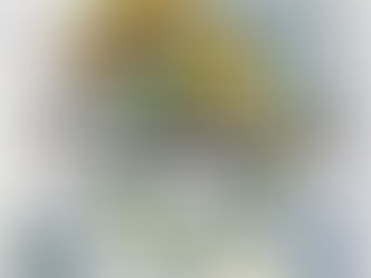 The character's journey