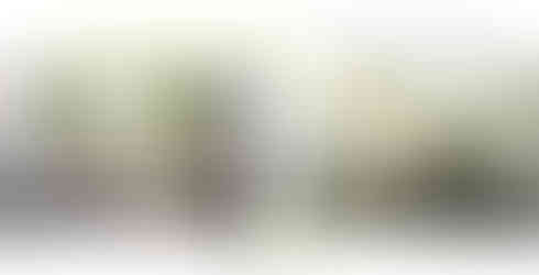 Pairing Contemporary Design with Rousanne Wine