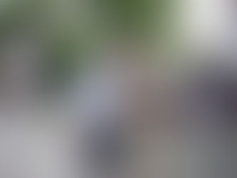 The Story of a Battalion: A Personal view