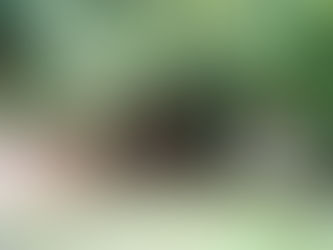 Holocaust Day 2025 - 80 years on