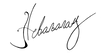 Nevaljalalac Handwritten logo in black