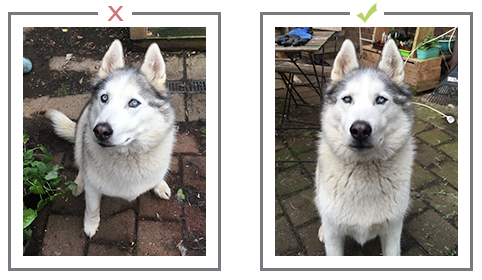 Reference Tips level.png