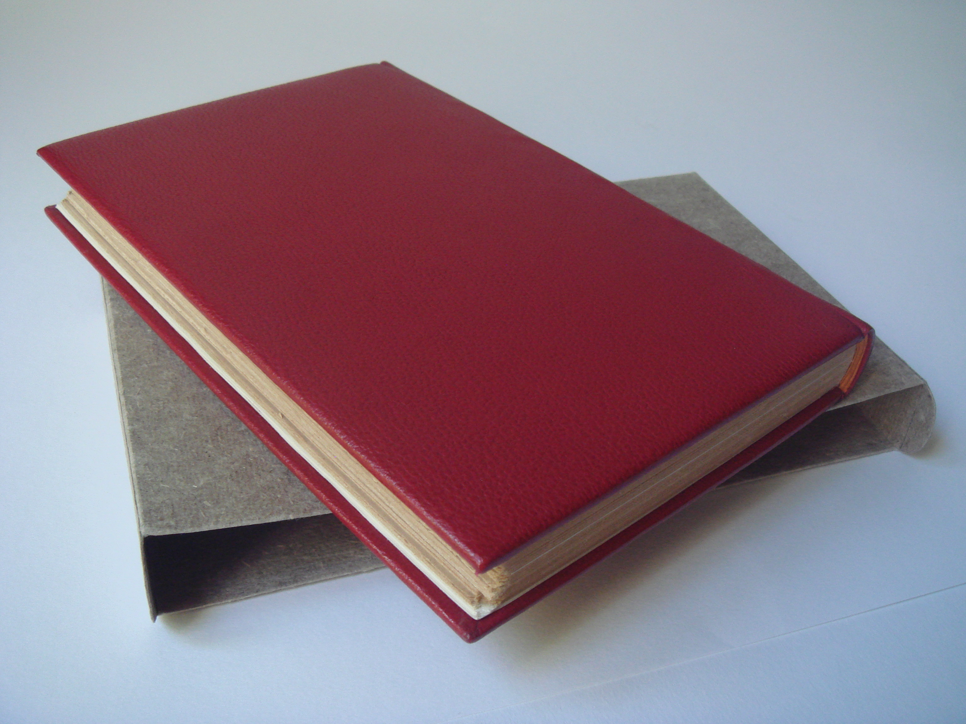 Reliure plein cuir et étui papier