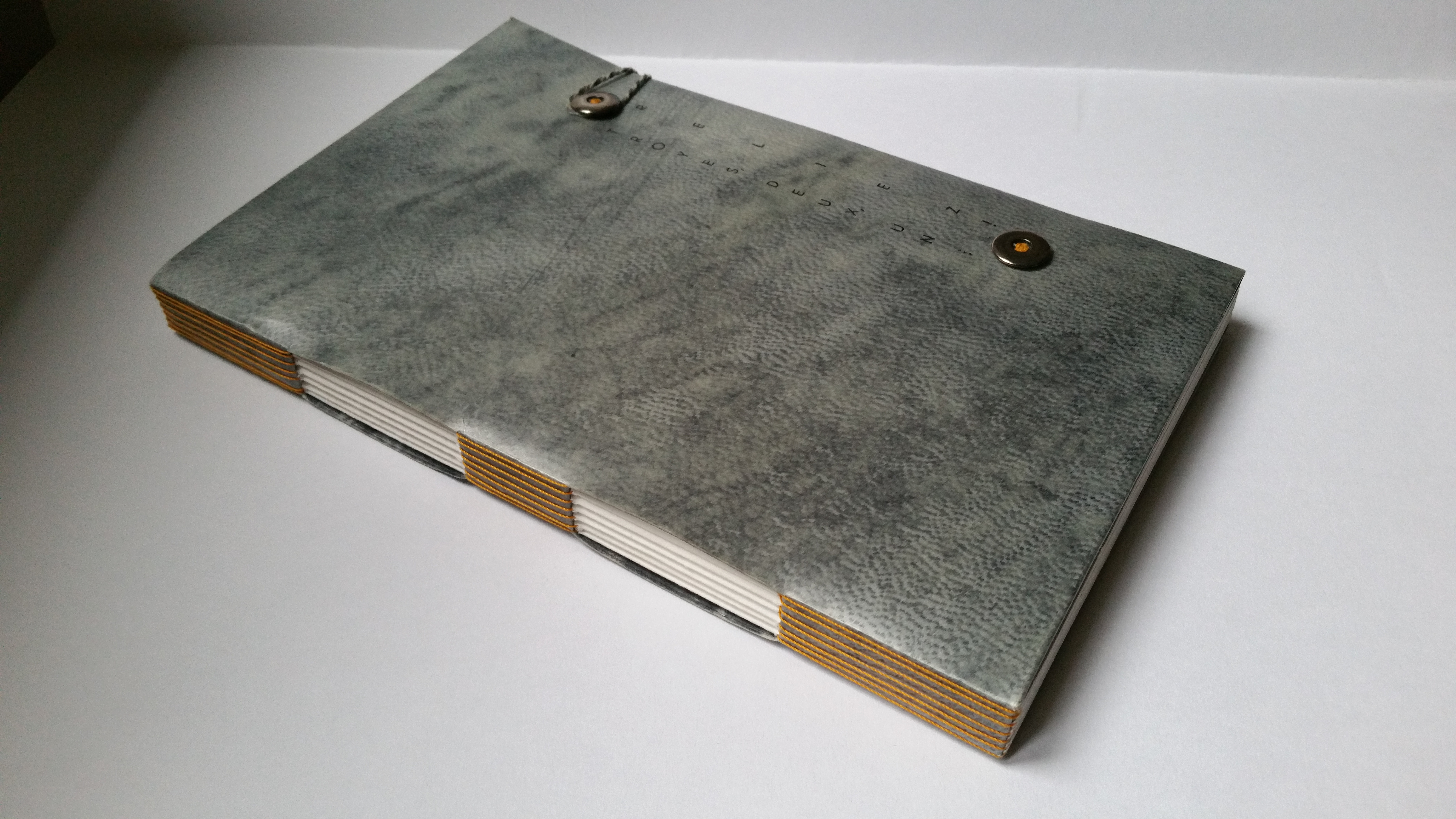 Reliure de conservation parchemin