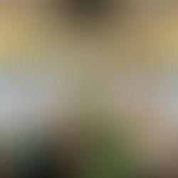 WUICA와 베트남 예술 문학 창작 지원 재단