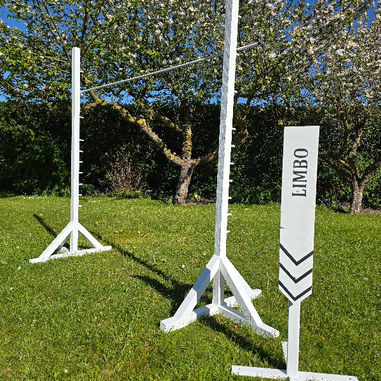 Limbo Hire