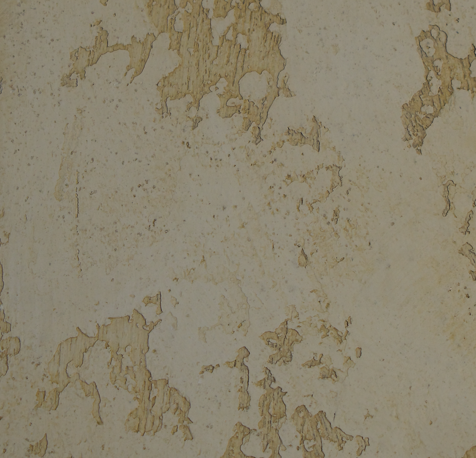 Marmorino Palladino (Skip Trowel Effect)