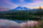 Snow-capped Mt. Rainier and pine forest reflected in a tranquil lake at sunset. Pink flowers in foreground. Peaceful, colorful scene.