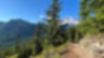 Mountain trail with tall pine trees and vibrant greenery under clear blue sky; snow-capped peak in the background; serene atmosphere.
