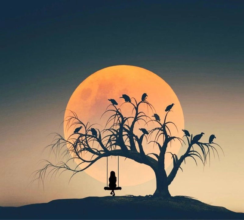 You need to see this 
