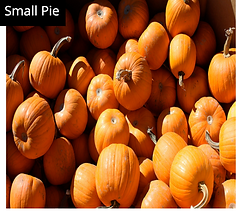 Small Pies.png