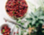 frukt Pie