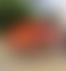 Los Angeles, 2017 (photo by Greg Colson)