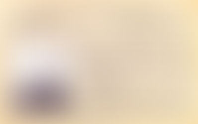 Eleanor Roosevelt's Pistol Permit (Franklin D. Roosevelt Presidential Library)