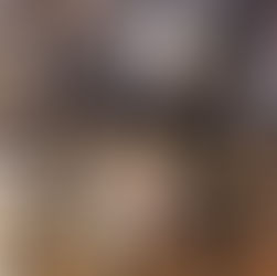 Charlie Rose at New York event, 2015