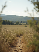 Vue-aerienne-du-domaine-La-Daouste-entoure-de-nature-en-Provence.png