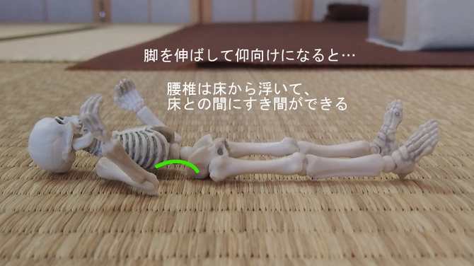 【真?】腰痛予防・改善のための呼吸法
