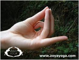 Nysa Samarpana Mudra.jpg