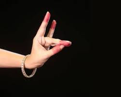 Pataka Mudra.jpg