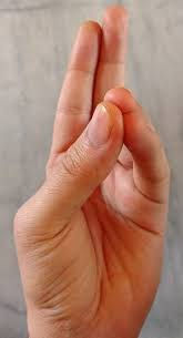 Digbandhana Mudra.jpg