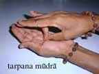 Tarpan Mudra.jpg