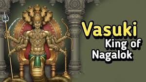 Vāsuki Sarpa Dosh