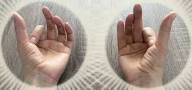 Anga Nysa Mudra.jpg
