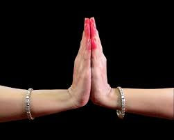 Anjali Mudra.jpg