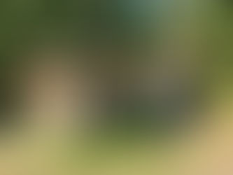 7/29/2023 Lunch on the Trail