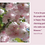 Thumbnail: Count Your Blessings Bundle
