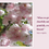 Thumbnail: Count Your Blessings Bundle