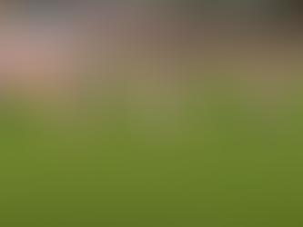 Les résultats du week-end 