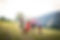 Wirlphoto_Stromberger_20190819-11.jpg